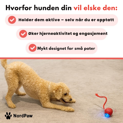 NordPaw™ - Speedy Tail 2.0